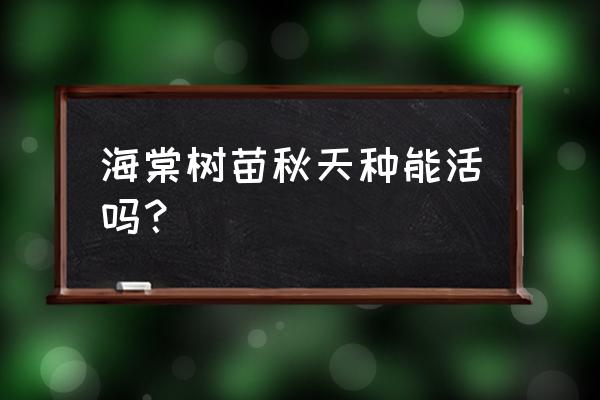 逐鹿县哪里有海棠树苗 海棠树苗秋天种能活吗？