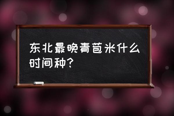 黑龙江绥化现在种包米赶趟吗 东北最晚青苞米什么时间种？