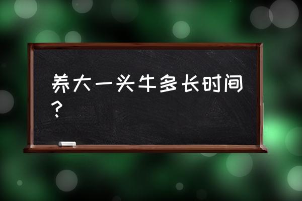 养牛要养多久才可以出栏 养大一头牛多长时间？