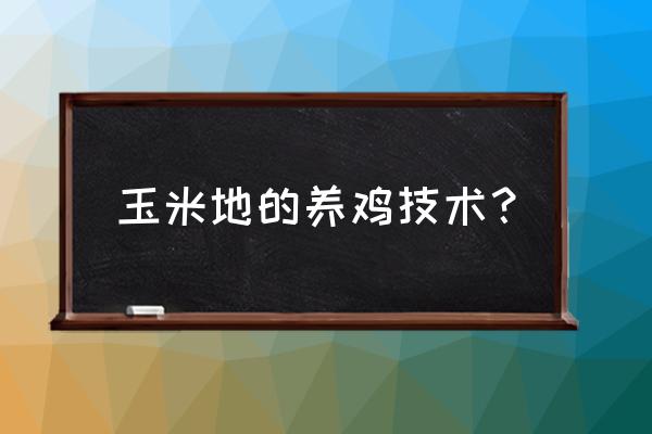 玉米田养鸡哪里最便宜 玉米地的养鸡技术？