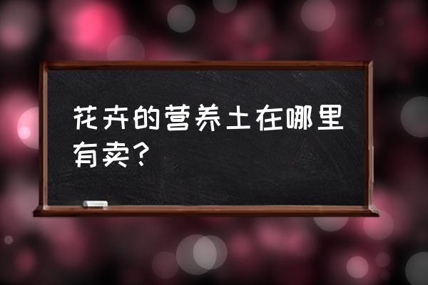 在石家庄能买到君子兰土吗 花卉的营养土在哪里有卖？