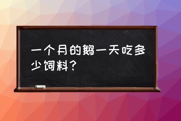 小鹅苗一个月吃多少饲料 一个月的鹅一天吃多少饲料？