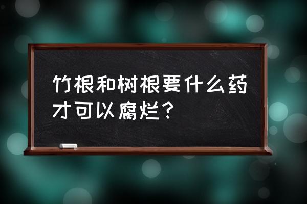 树锯了用什么可以让树根烂掉 竹根和树根要什么药才可以腐烂? 树锯了用什么可以让树根烂掉 竹根和树根要什么药才可以腐烂?