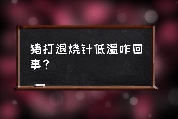 猪发烧物理降温方法 猪打退烧针低温咋回事? 猪发烧物理降温方法 猪打退烧针低温咋回事?