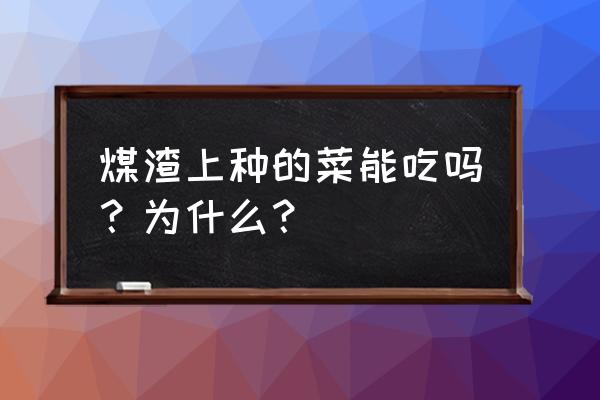 地皮菜和什么菜不能一起吃 煤渣上种的菜能吃吗？为什么？