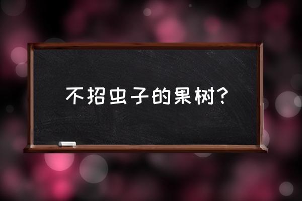 不招虫子的树有哪些 不招虫子的果树？