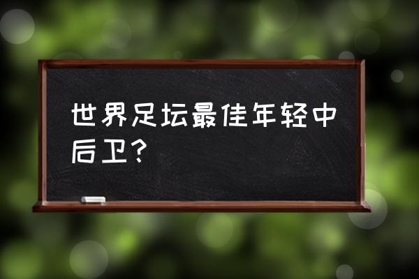 fm19青训主管怎么安排训练 世界足坛最佳年轻中后卫？