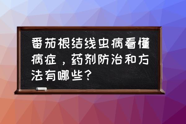 网红柠檬翅根尖最正宗的做法 番茄根结线虫病看懂病症,药剂防治和方法有哪些? 网红柠檬翅根尖最正宗的做法 番茄根结线虫病看懂病症,药剂防治和方法有哪些?