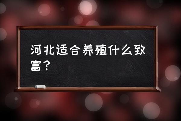 稻田养鸡需要什么条件 河北适合养殖什么致富? 稻田养鸡需要什么条件 河北适合养殖什么致富?