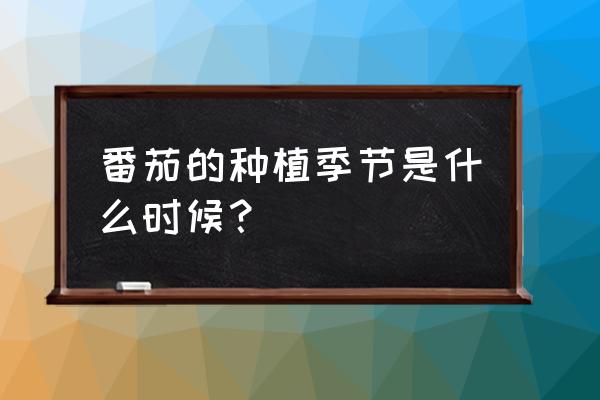 西红柿的种植技术时间和方法 番茄的种植季节是什么时候? 西红柿的种植技术时间和方法 番茄的种植季节是什么时候?