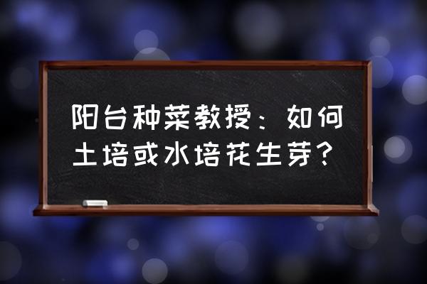 阳台水培蔬菜制作方法 阳台种菜教授:如何土培或水培花生芽? 阳台水培蔬菜制作方法 阳台种菜教授:如何土培或水培花生芽?