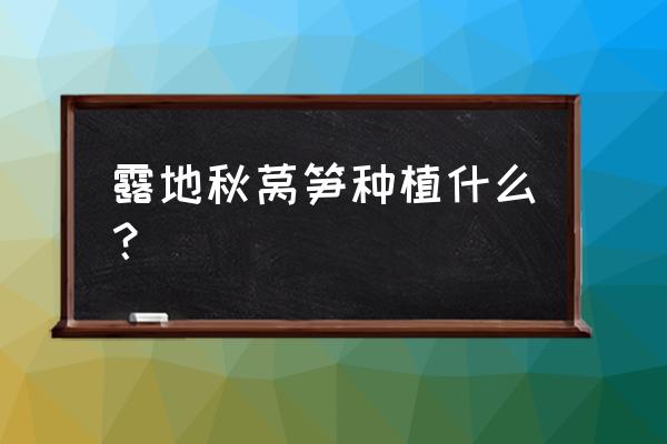 露地越冬莴苣种植时间和方法 露地秋莴笋种植什么? 露地越冬莴苣种植时间和方法 露地秋莴笋种植什么?