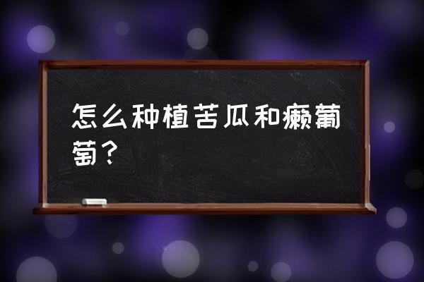 癞葡萄种子几月份播种 怎么种植苦瓜和癞葡萄？