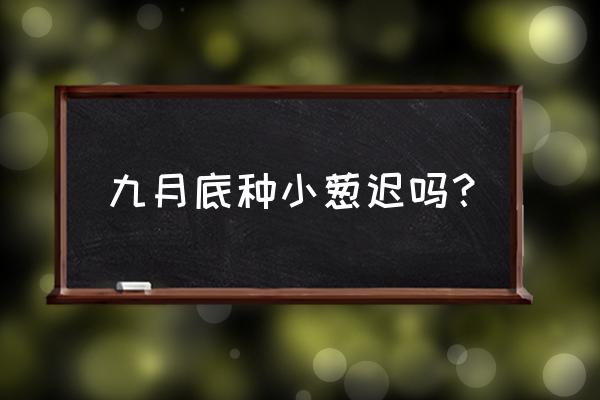 白露葱最佳种植时间 九月底种小葱迟吗？